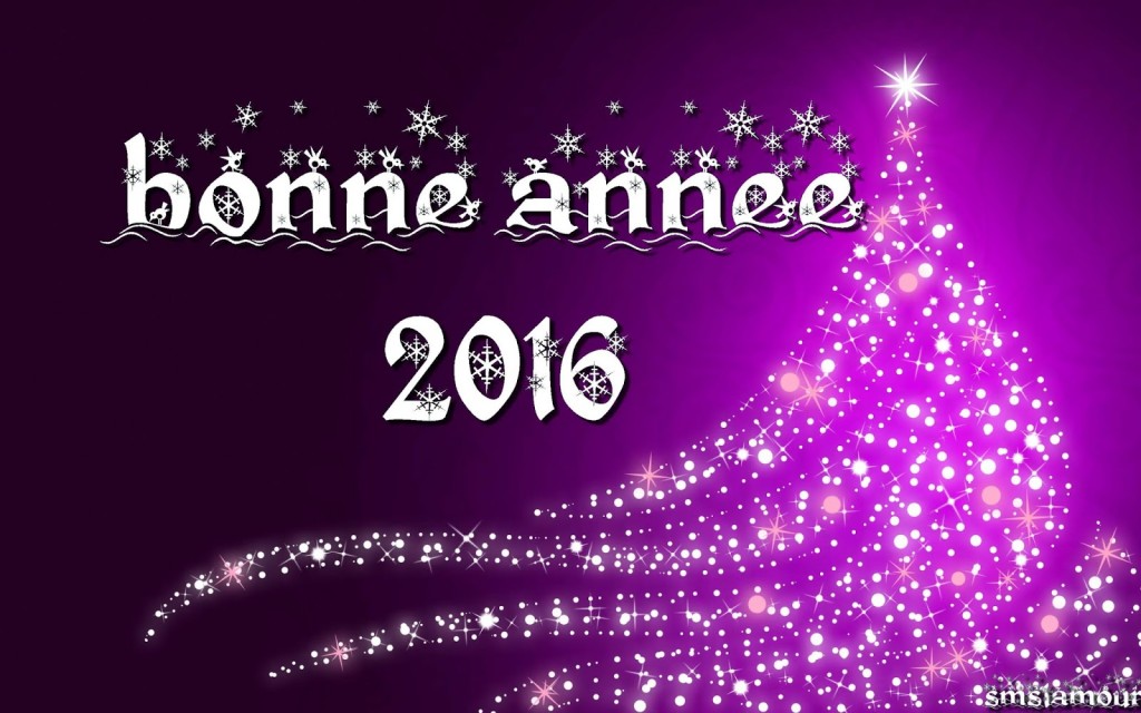 message-bonne-annee-2016-bonne-annee